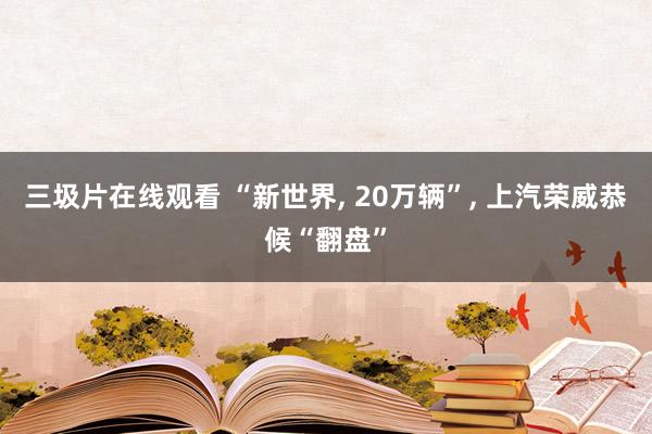 三圾片在线观看 “新世界， 20万辆”， 上汽荣威恭候“翻盘”