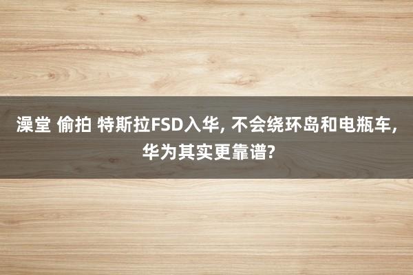 澡堂 偷拍 特斯拉FSD入华， 不会绕环岛和电瓶车， 华为其实更靠谱?
