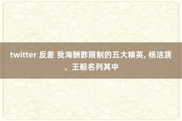 twitter 反差 我海酬酢限制的五大精英， 杨洁篪、王毅名列其中