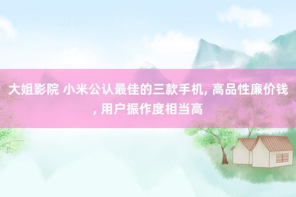 大姐影院 小米公认最佳的三款手机， 高品性廉价钱， 用户振作度相当高
